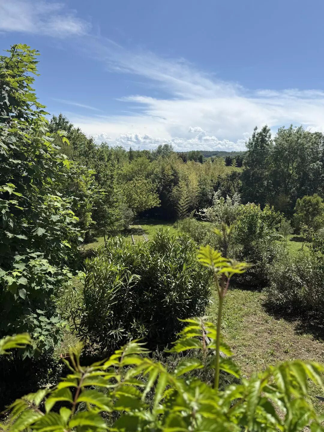 Maison à vendre, 141m², Labastide-d'Anjou