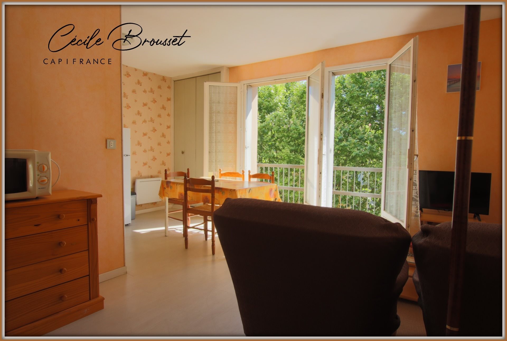 Appartement à vendre, 37m², Amélie-les-Bains-Palalda