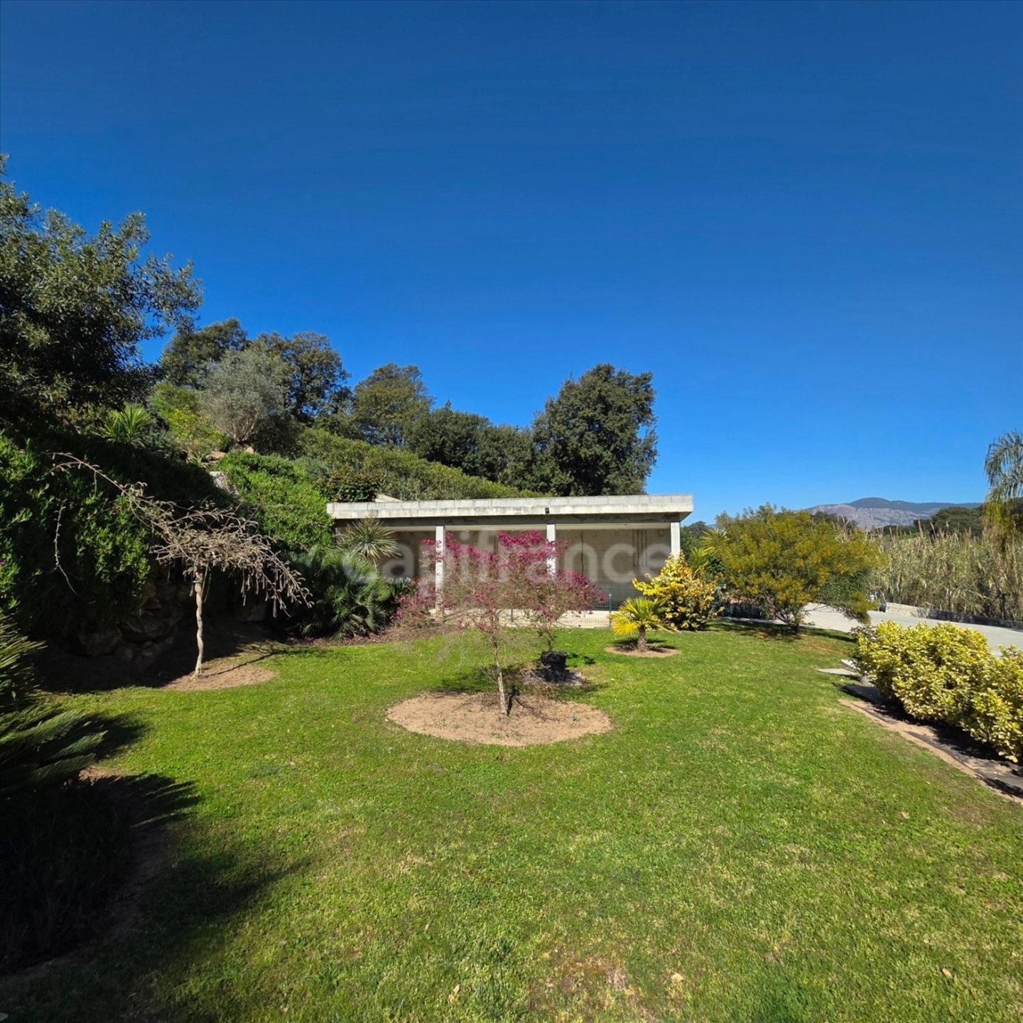 Maison à vendre, 360m², Bastelicaccia