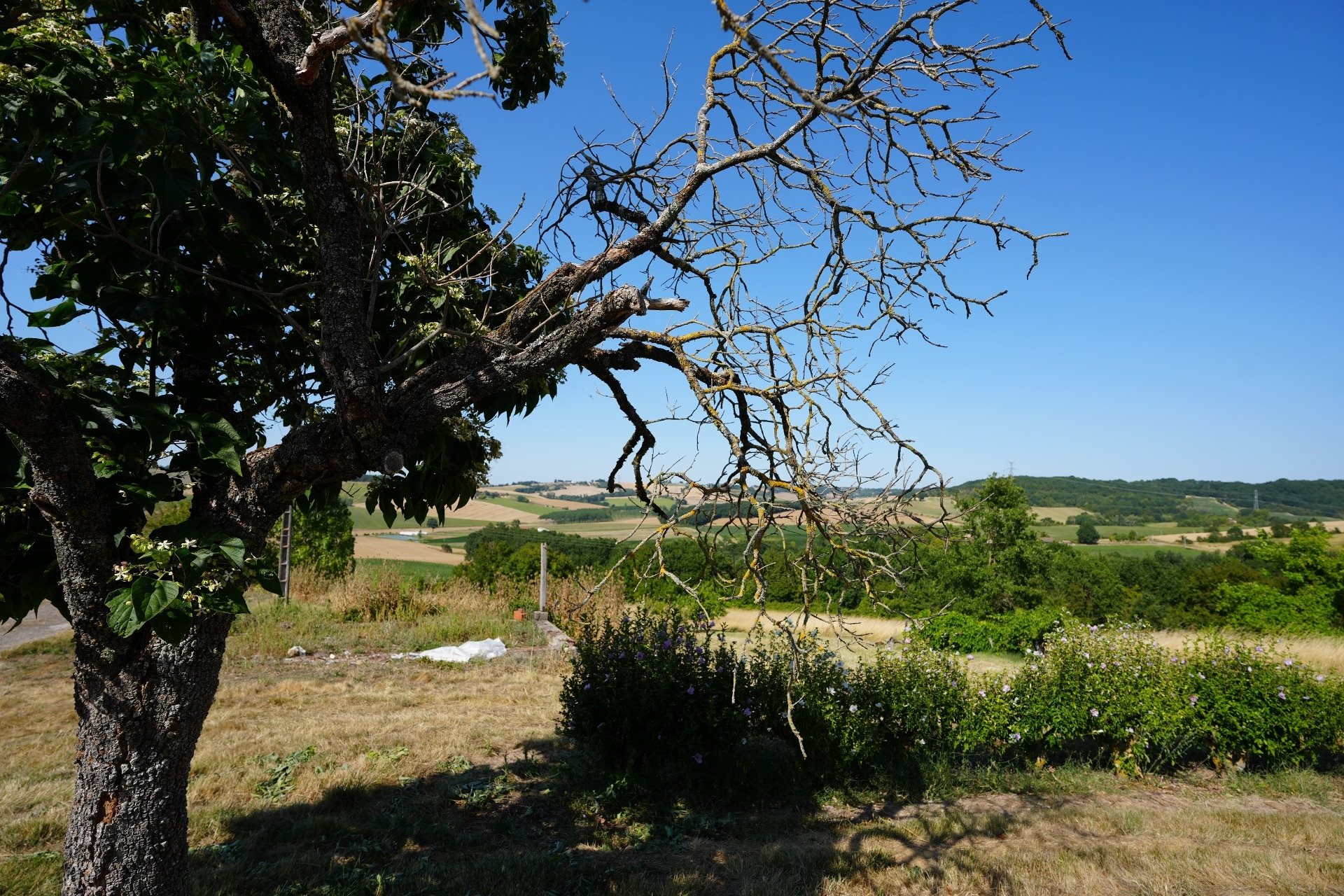 Maison à vendre, 102m², Clairac