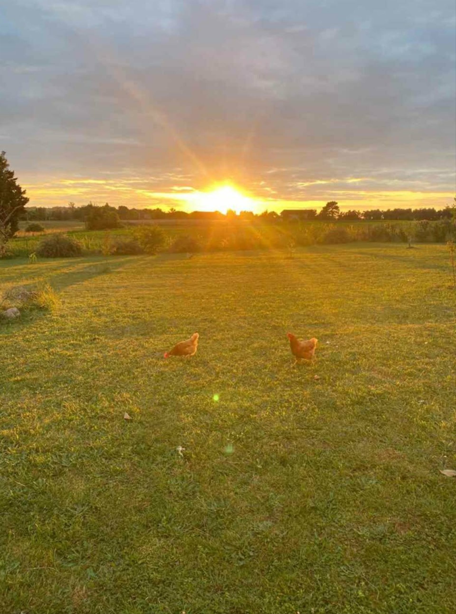 Maison à vendre, 200m², Calonges