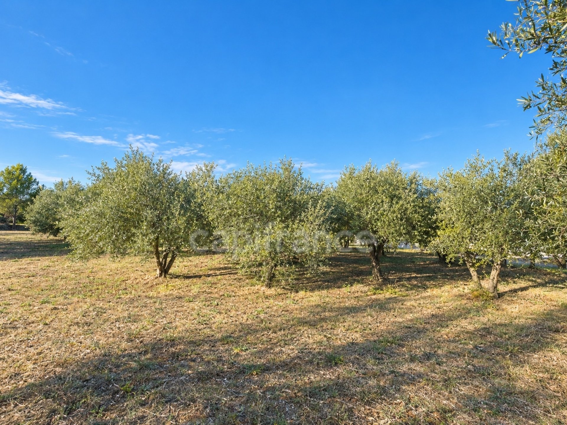 Maison à vendre, 99m², Vézénobres