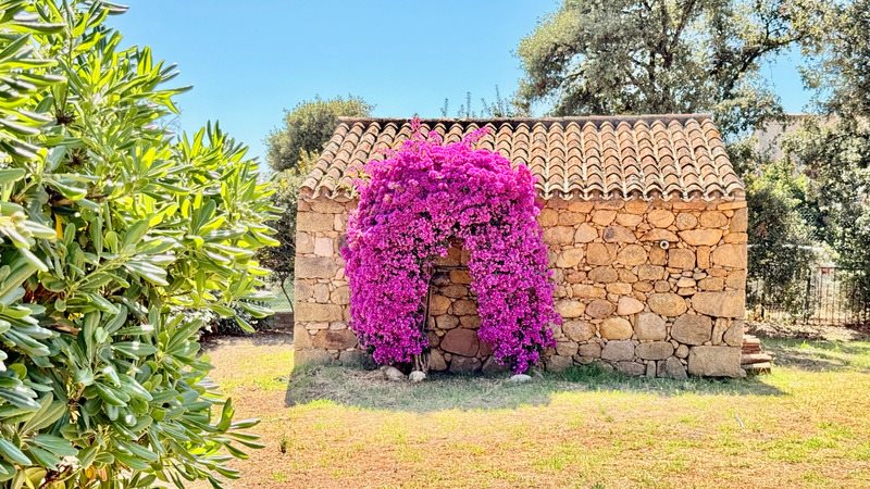 Maison à vendre, 132m², Eccica-Suarella