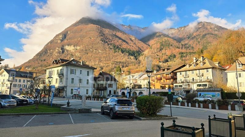 Appartement à vendre, 53m², Taninges (Praz de Lys - Sommand)