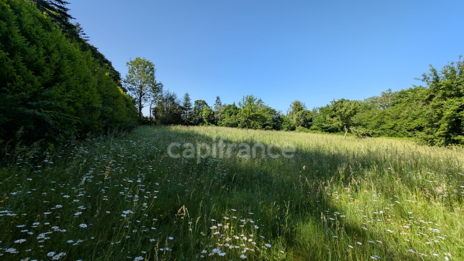 Maison à vendre, 77m², Rânes