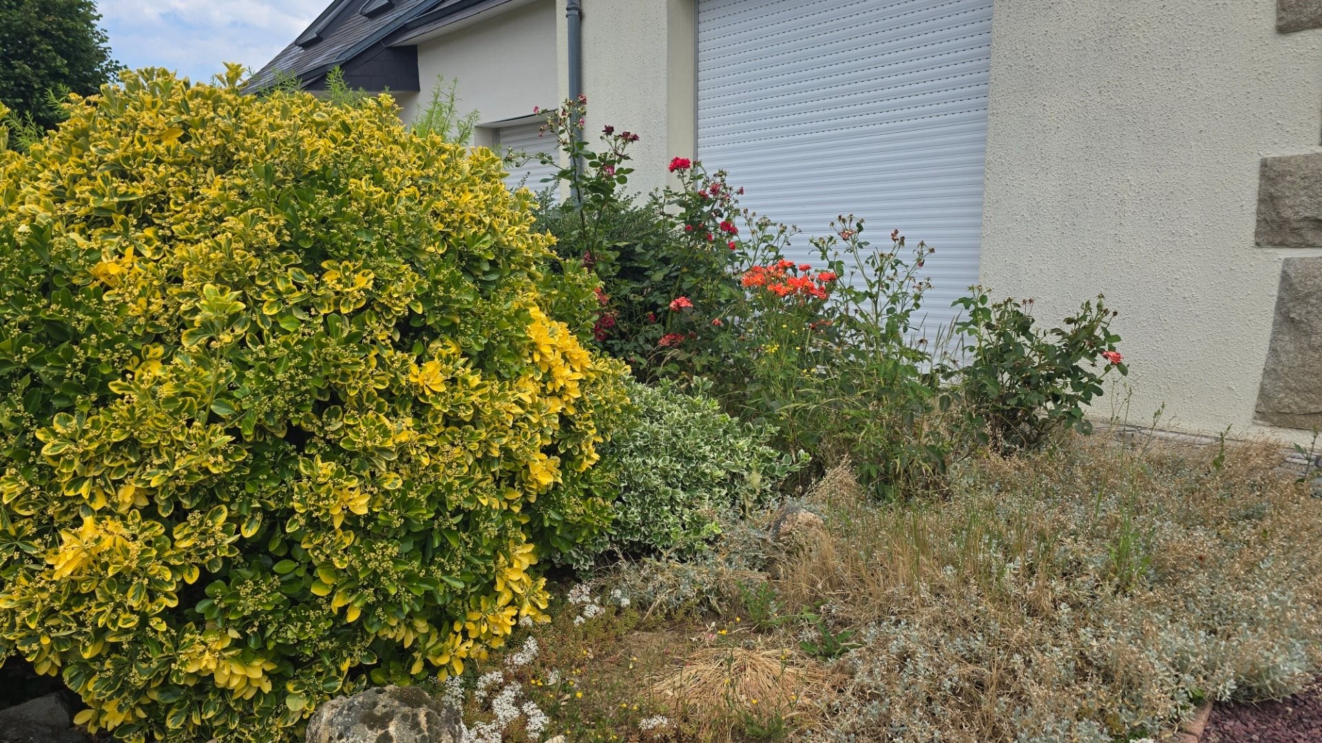 Maison à vendre, 120m², Cesson-Sévigné