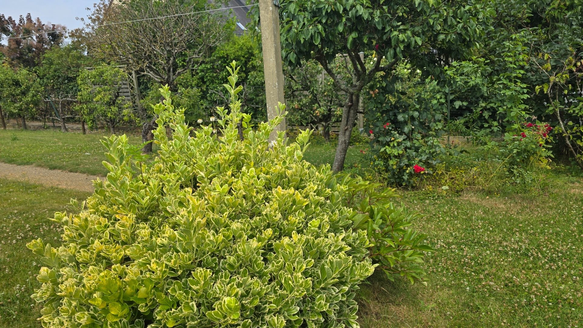 Maison à vendre, 120m², Cesson-Sévigné