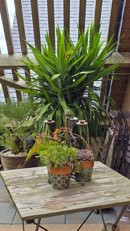Appartement à vendre, 94m², Saint-Lunaire