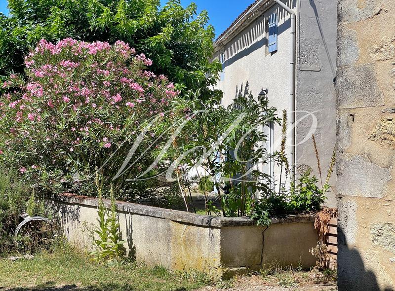 Maison à vendre, 430m², Bonneville-et-Saint-Avit-de-Fumadières