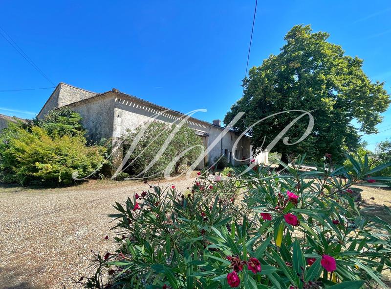 Maison à vendre, 430m², Bonneville-et-Saint-Avit-de-Fumadières