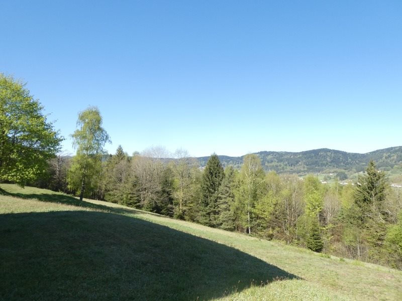 Maison à vendre, 235m², Basse-sur-le-Rupt