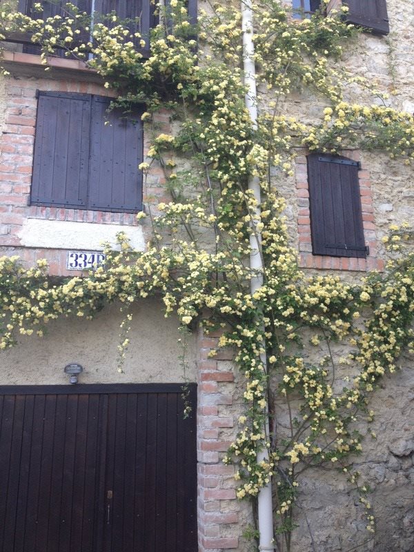 Maison à vendre, 130m², Alès