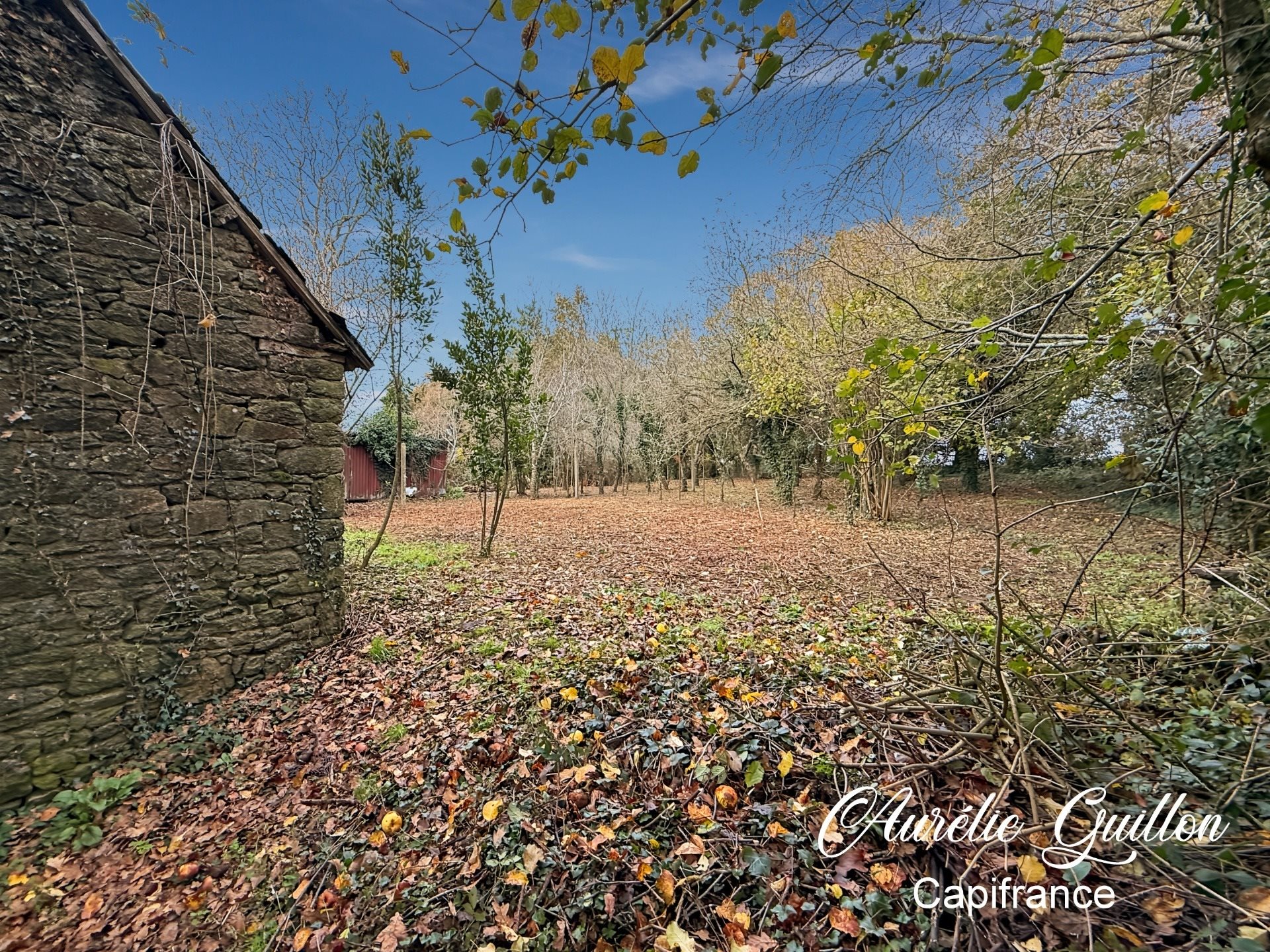 Maison à vendre, 250m², Buléon