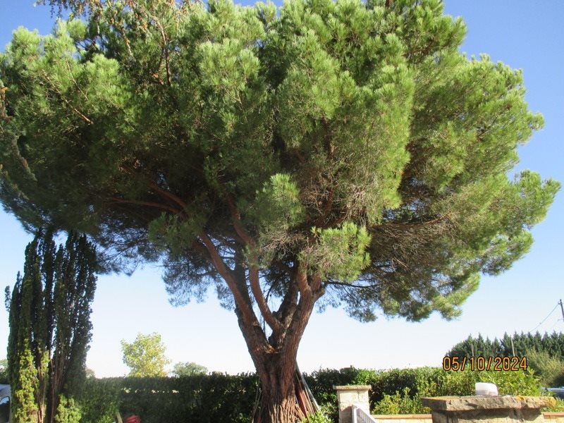 Maison à vendre, 186m², La Tour-du-Crieu