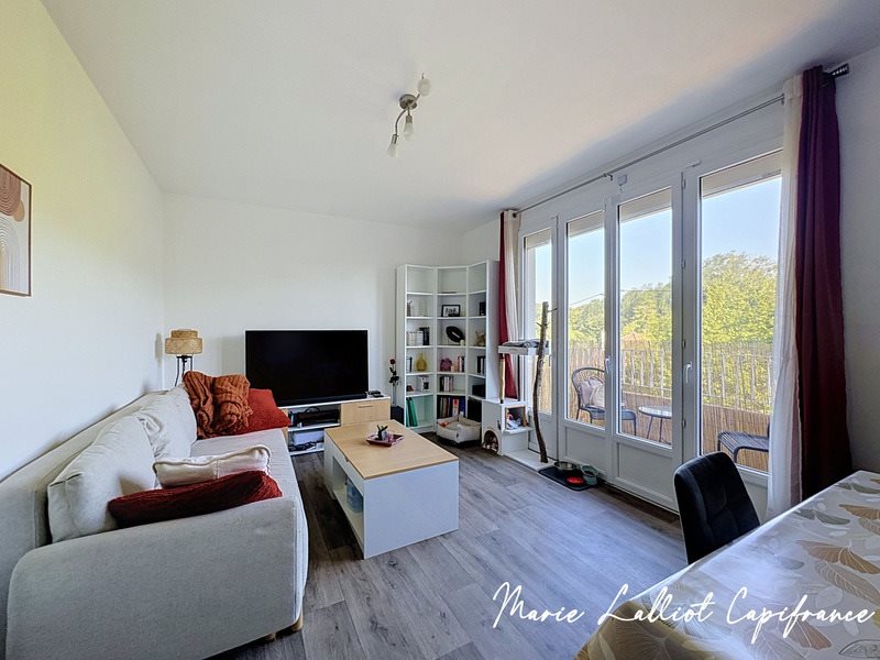 Appartement à vendre, 48m², Pithiviers