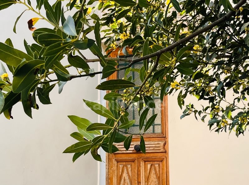 Maison à vendre, 130m², Colombes
