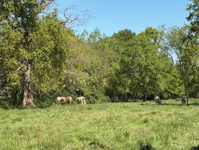 Maison à vendre, 140m², Plaisance