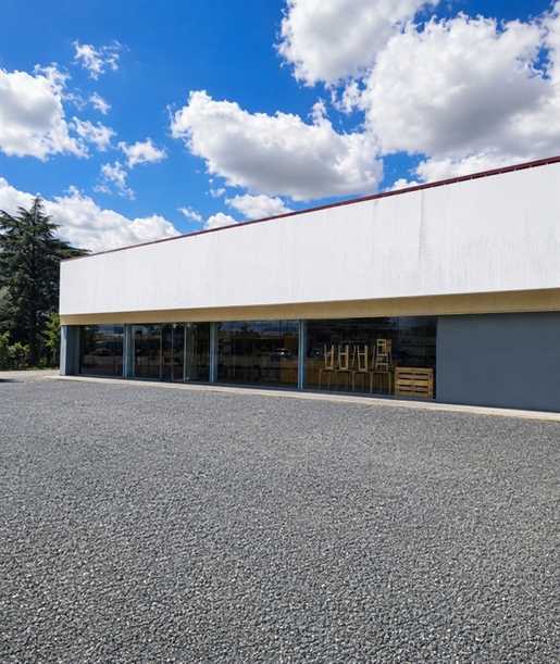 Local commercial 5 pièces 330 m² · à Mareuil-sur-Lay-Dissais · 330 m² · 230 000 €