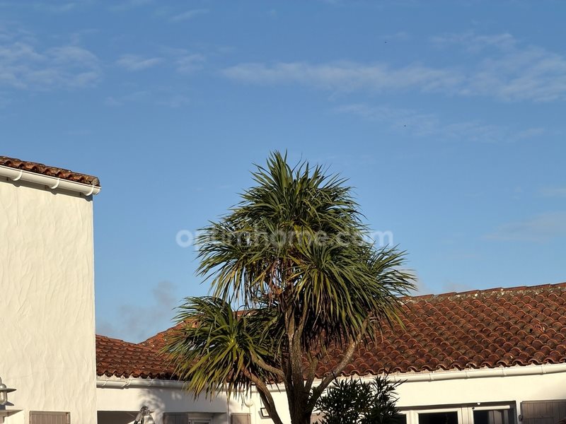 Maison à vendre, 134m², Le Bois-Plage-en-Ré