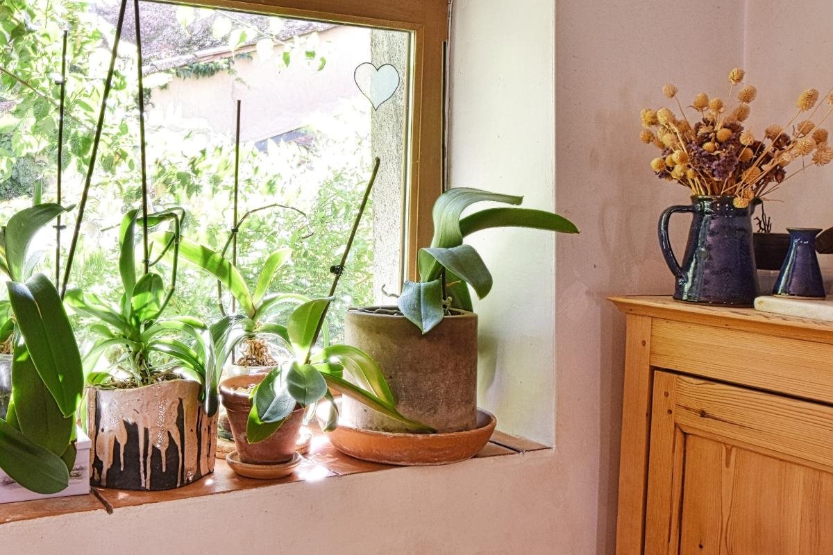 Maison à vendre, 147m², Clermont-l'Hérault