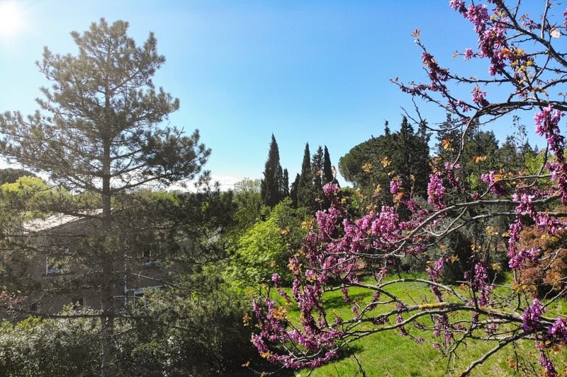 Maison à vendre, 174m², Le Bosc