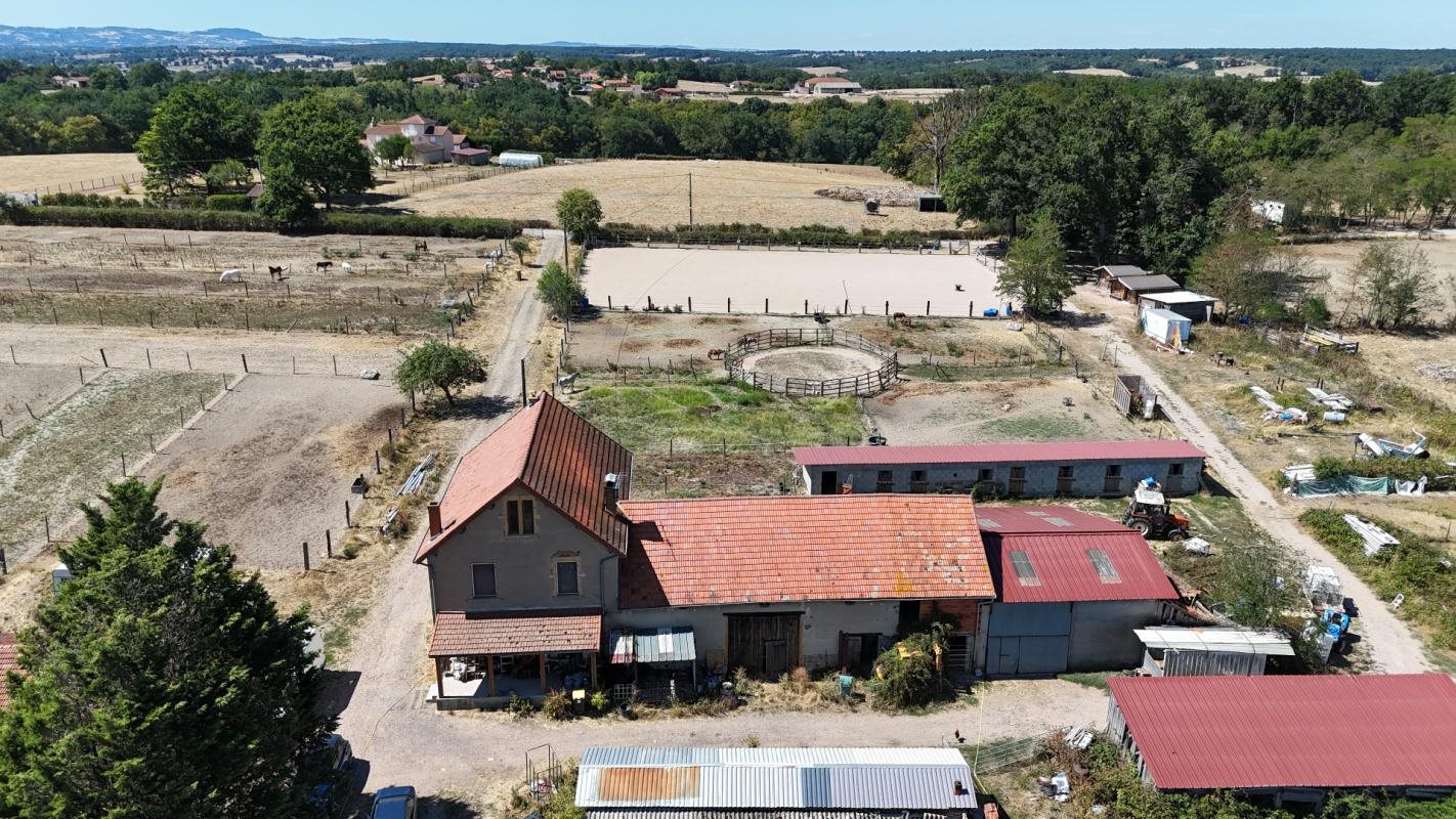 Maison à vendre, 200m², Roanne
