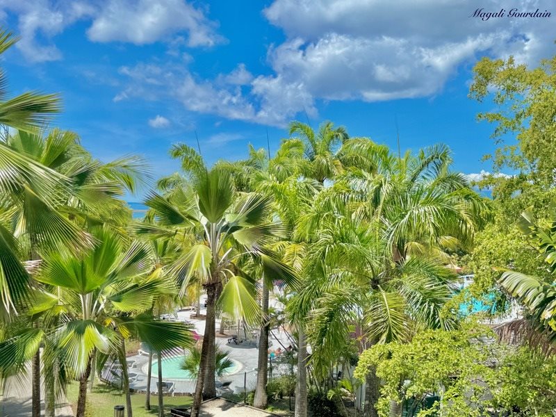 Appartement à vendre, 21m², Sainte-Anne