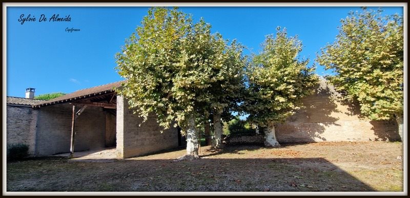 Maison à vendre, 180m², Reyssouze