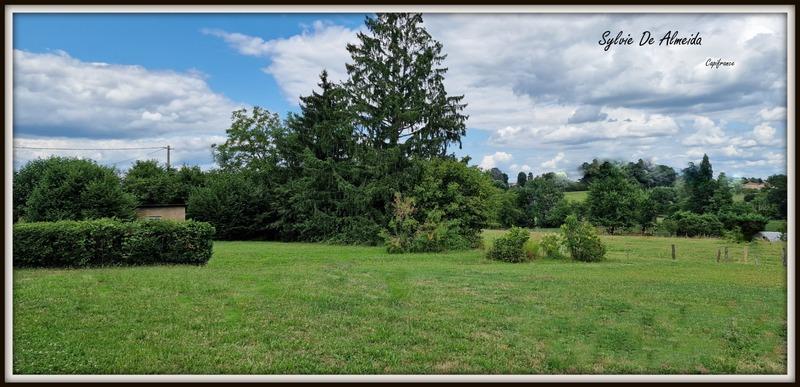 Maison à vendre, 270m², Bâgé-le-Châtel