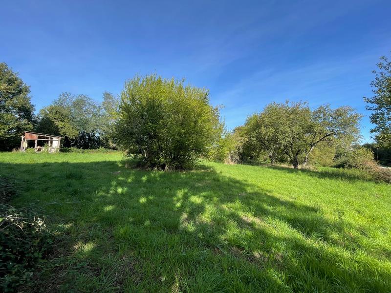 Maison à vendre, 77m², Cercy-la-Tour