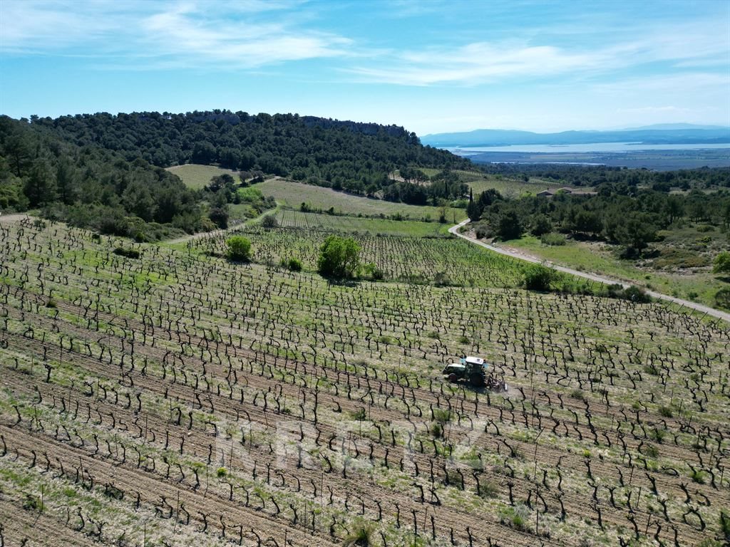 Maison à vendre, 300m², Narbonne