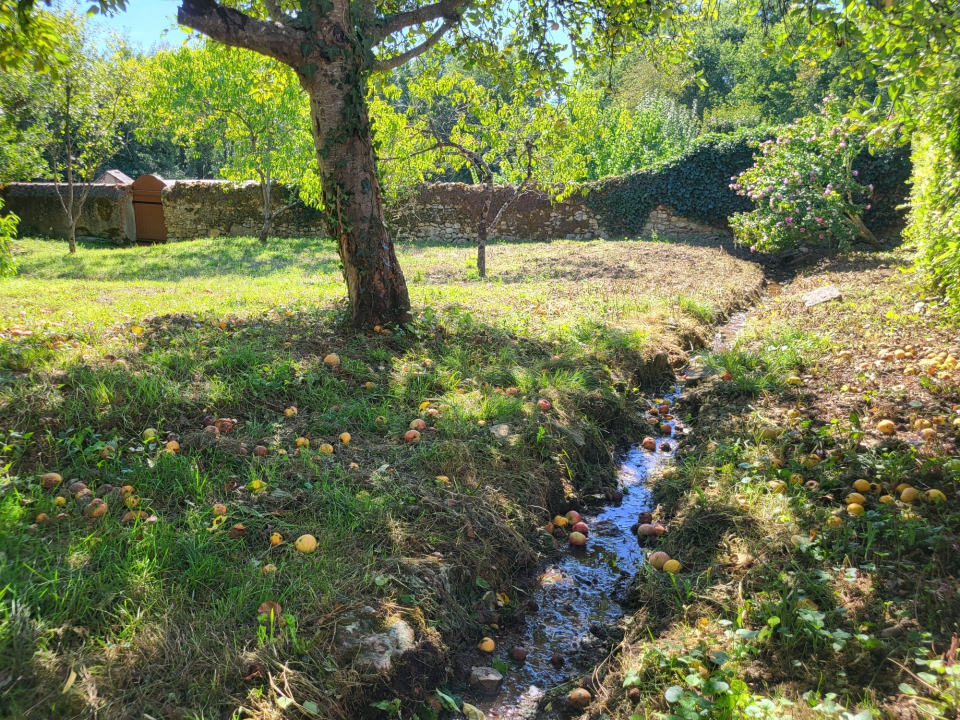 Maison à vendre, 64m², Saint-Loup-Lamairé