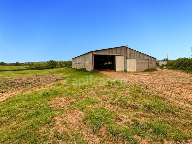 Maison à vendre, 1136m², Joncy