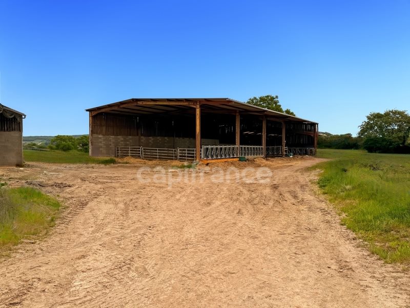 Maison à vendre, 1136m², Joncy