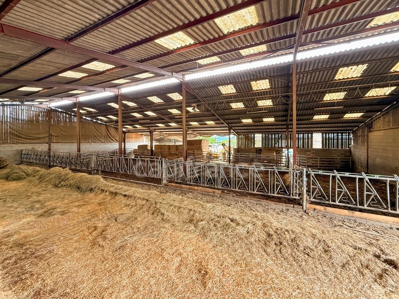 Maison à vendre, 1136m², Joncy