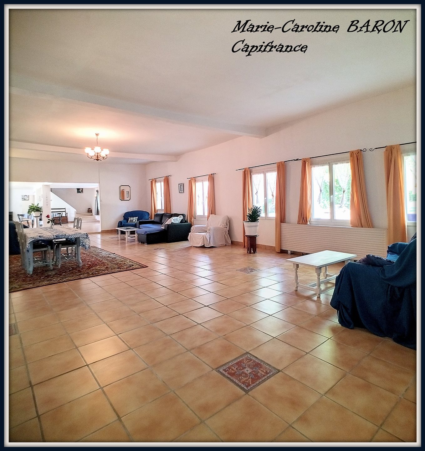 Maison à vendre, 450m², Luçay-le-Mâle