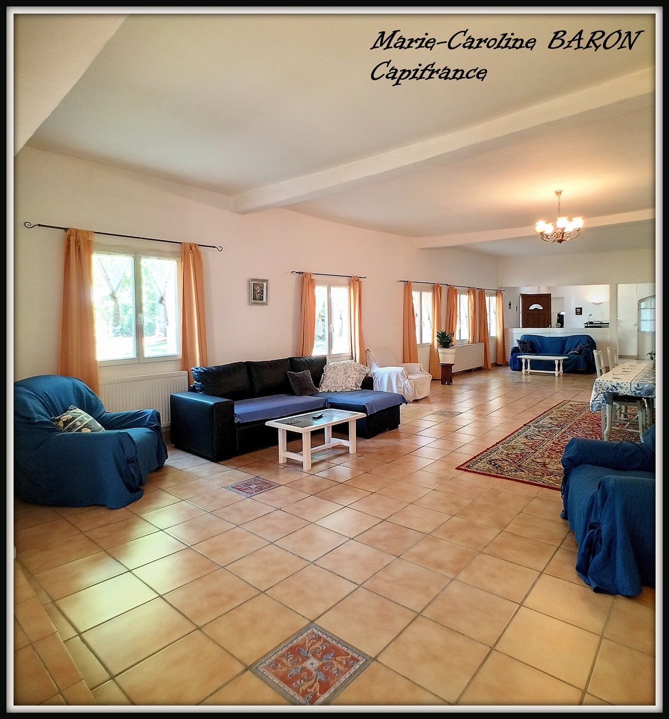 Maison à vendre, 450m², Luçay-le-Mâle