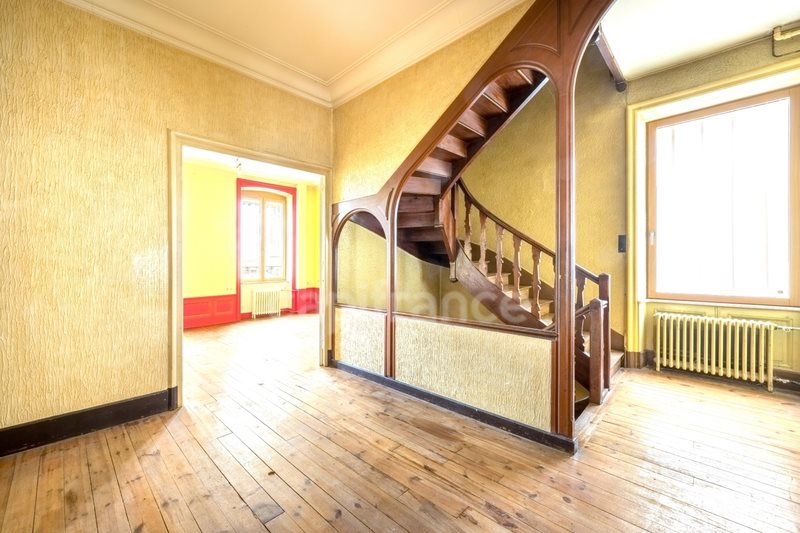 Maison à vendre, 446m², Panissières