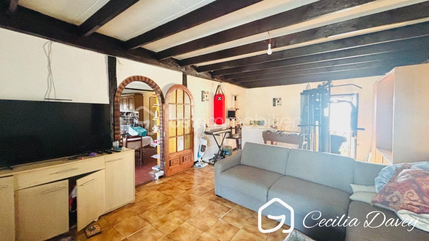 Maison à vendre, 250m², Villeneuve-sur-Yonne