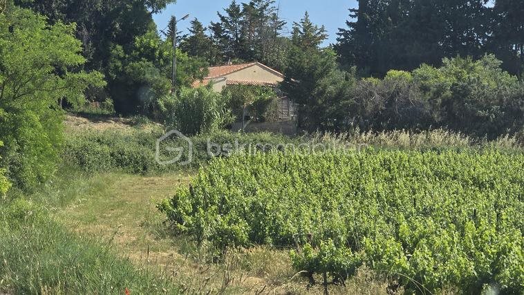 Maison à vendre, 105m², Saint-Pargoire