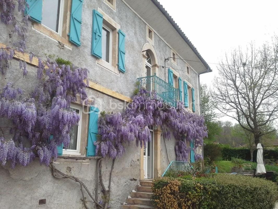 Maison à vendre, 251m², Beauchalot