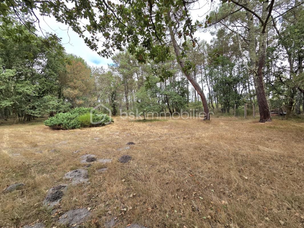 Maison à vendre, 295m², Herm