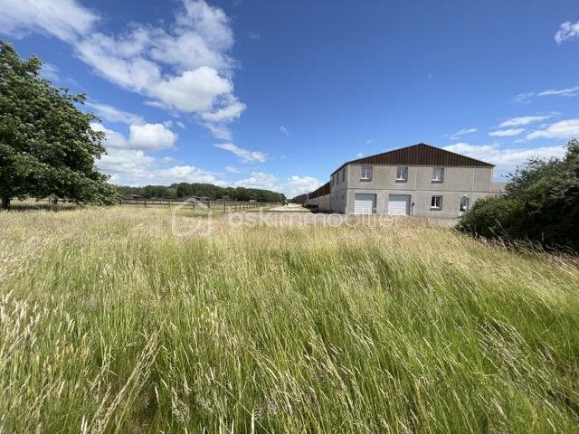 Maison à vendre, 800m², Fontenay-Trésigny