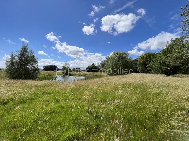 Maison à vendre, 800m², Fontenay-Trésigny