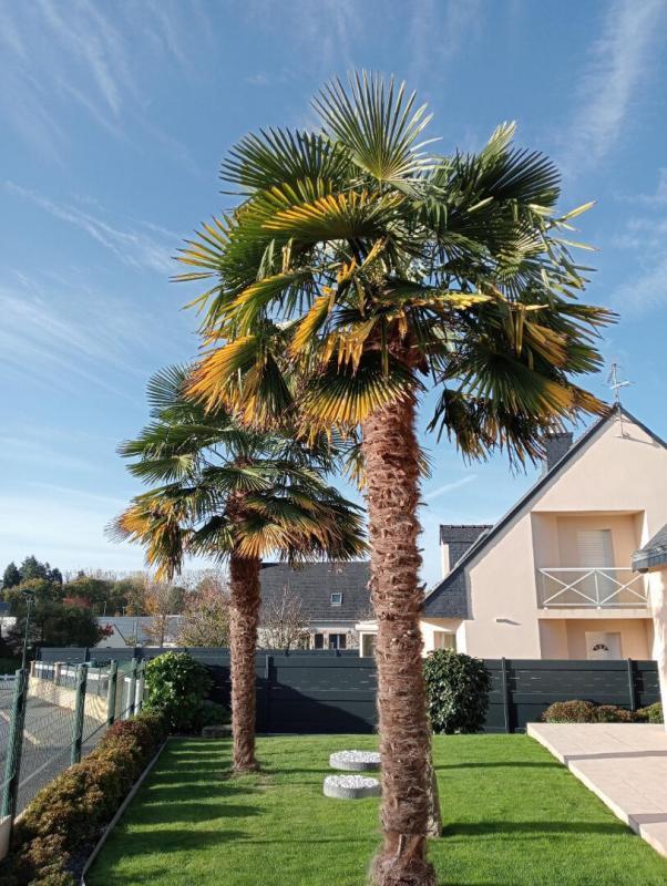 Maison à vendre, 157m², Ploërmel
