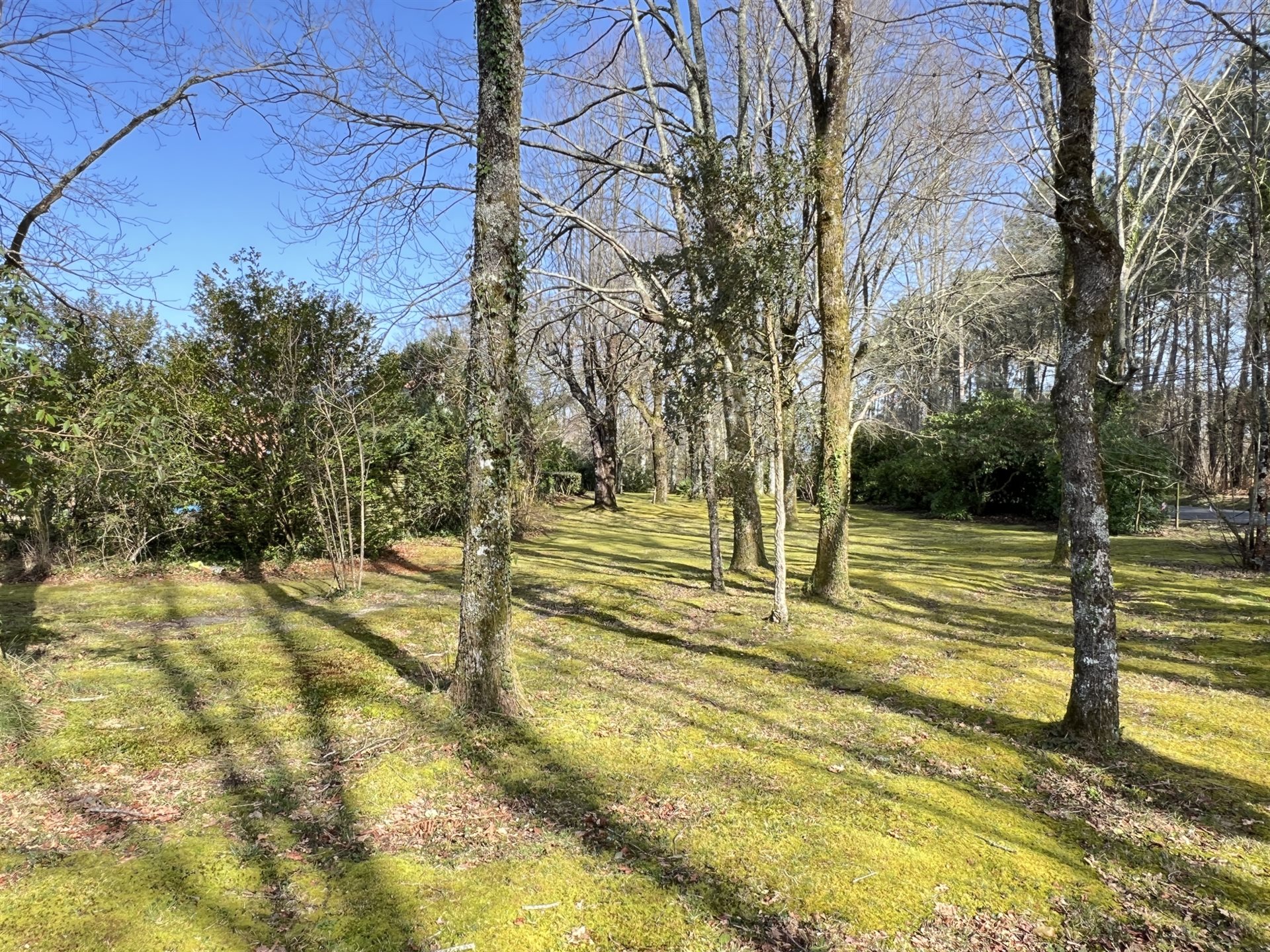 Maison à vendre, 174m², Soustons