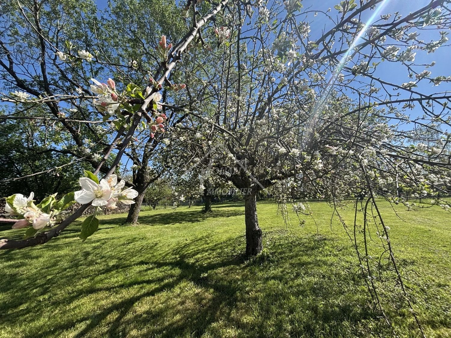 Maison à vendre, 116m², Étroussat