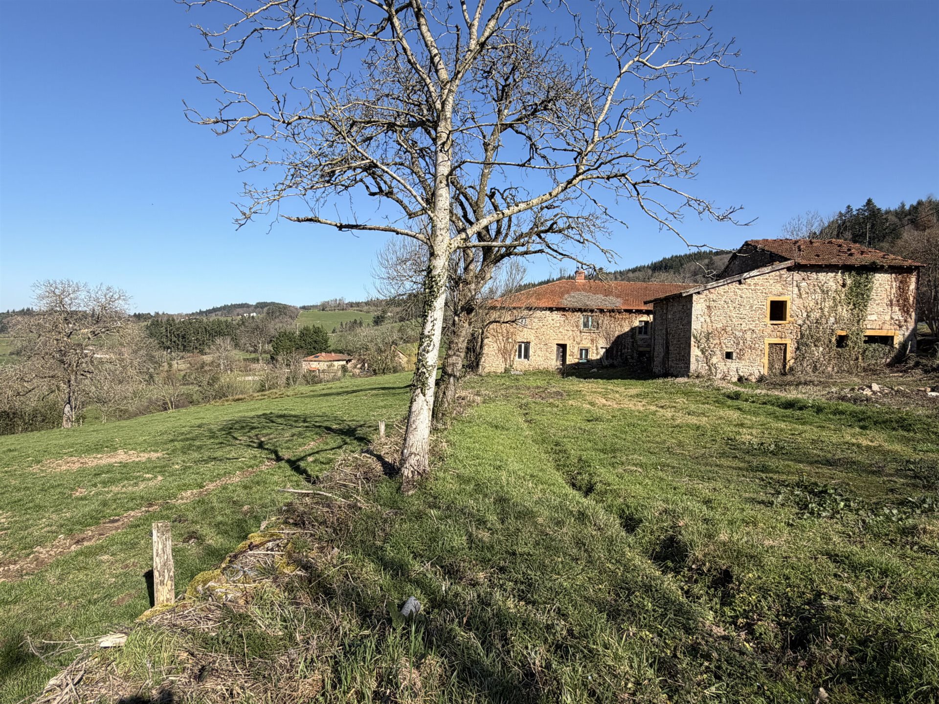 Maison à vendre, 190m², Cours-la-Ville