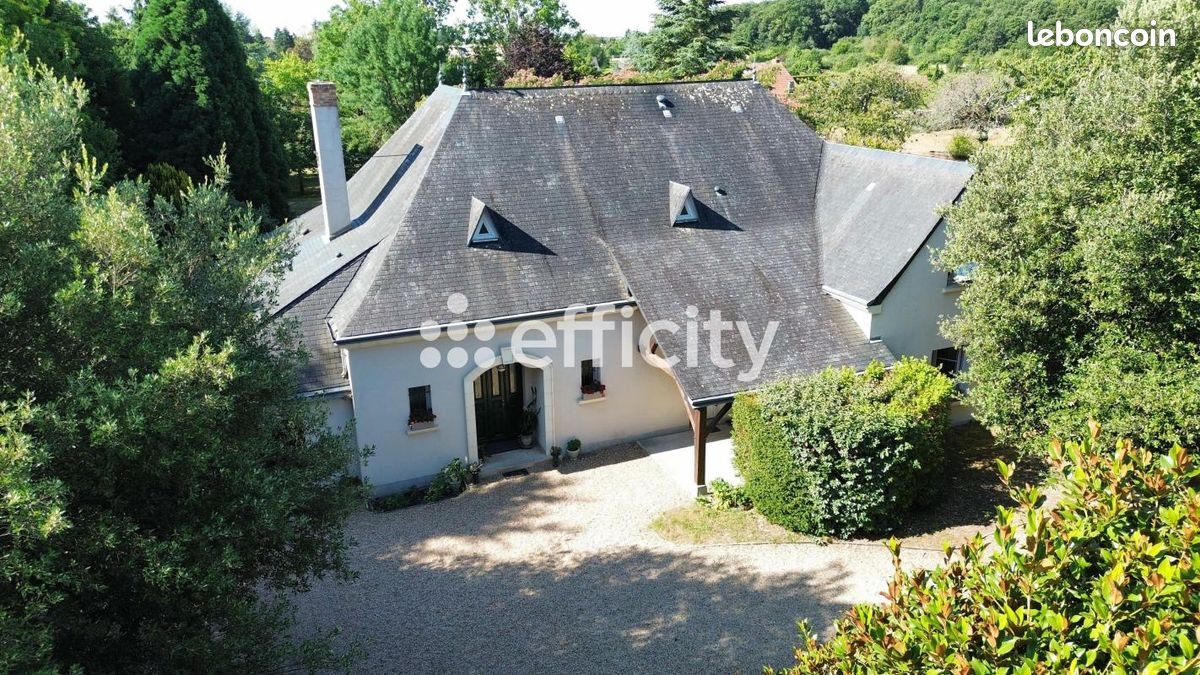 Maison à vendre, 300m², Fondettes