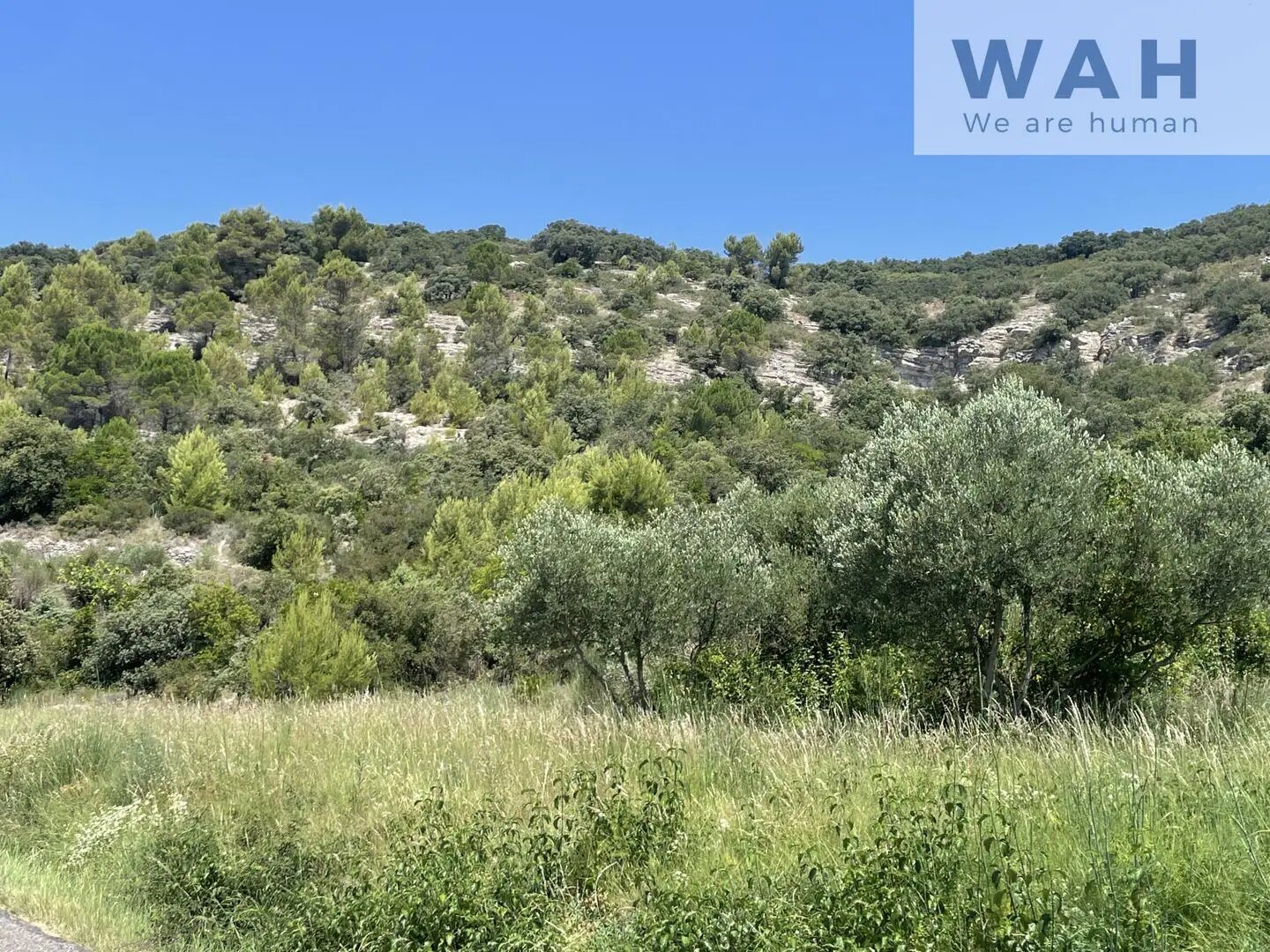 Maison à vendre, 75m², Calvisson